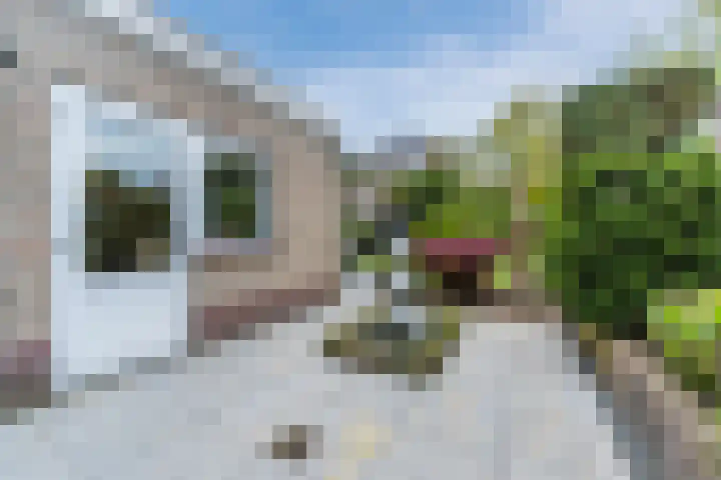 Rossinilaan 13 Berkel-Enschot thumbnail 42