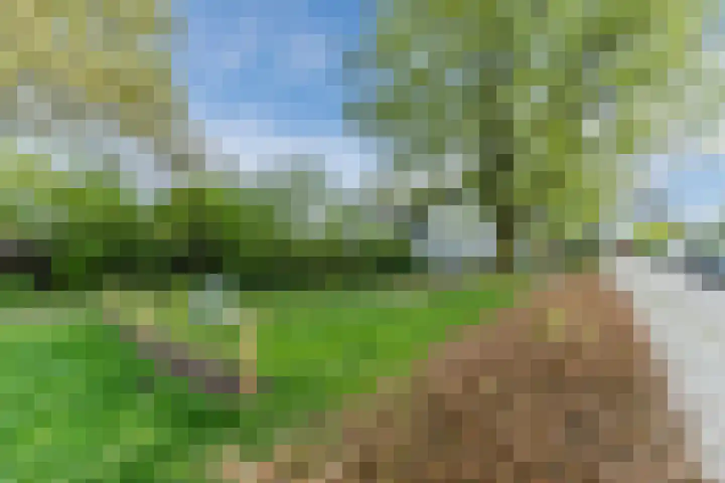 Rossinilaan 13 Berkel-Enschot thumbnail 50