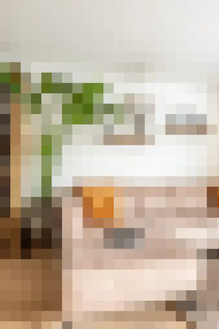Rossinilaan 13 Nieuw-Vennep thumbnail 10