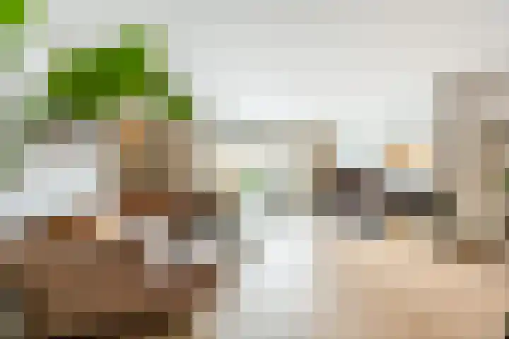 Rossinilaan 13 Nieuw-Vennep thumbnail 13