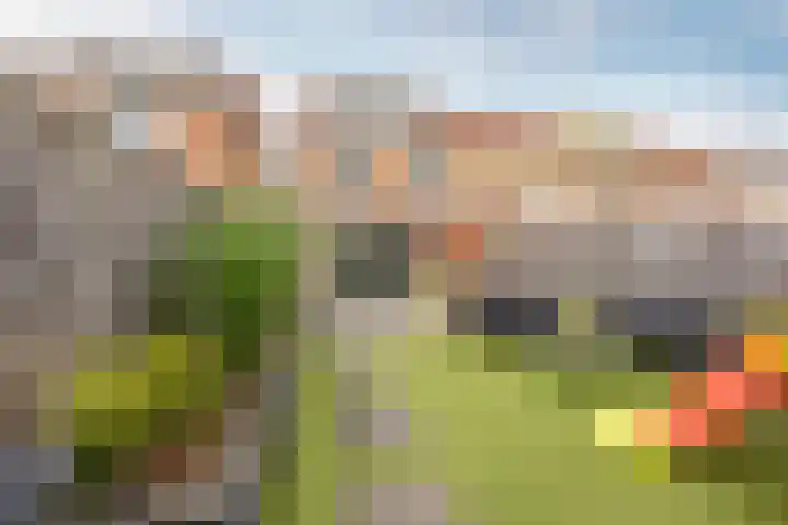 Rossinilaan 13 Nieuw-Vennep thumbnail 24