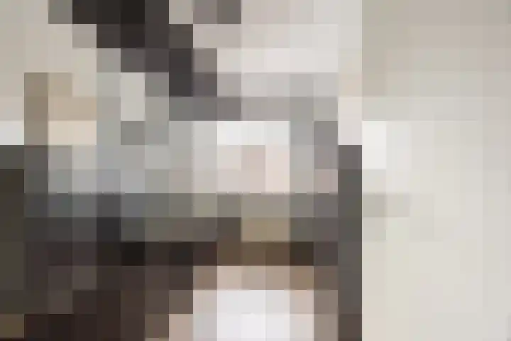 Rossinilaan 13 Nieuw-Vennep thumbnail 27