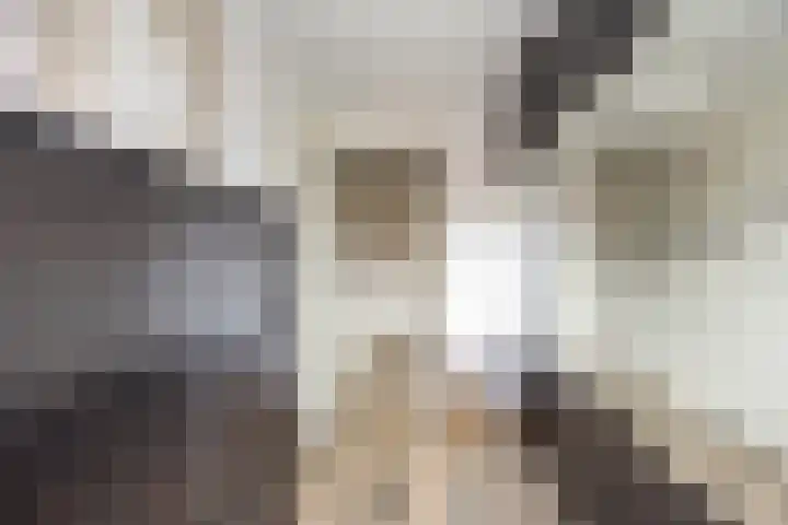 Rossinilaan 13 Nieuw-Vennep thumbnail 28