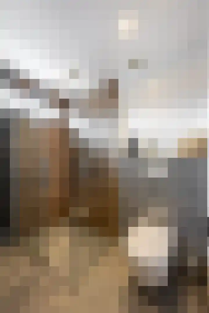 Rossinilaan 13 Nieuw-Vennep thumbnail 34