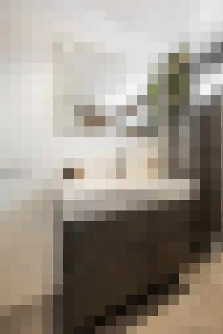 Rossinilaan 13 Nieuw-Vennep thumbnail 35