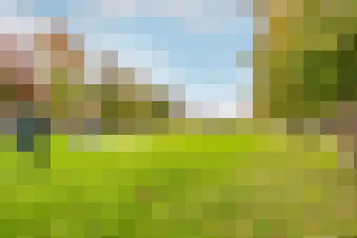 Rossinilaan 13 Nieuw-Vennep thumbnail 44