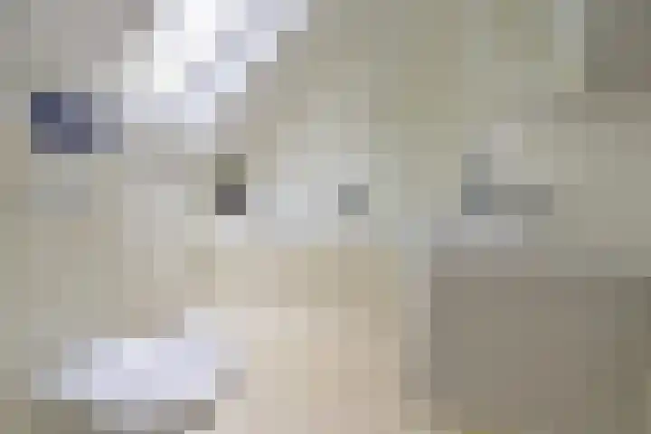 Rossinilaan 26 Hilversum thumbnail 14