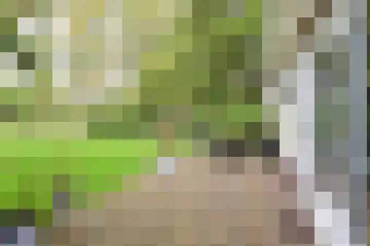 Rossinilaan 26 Hilversum thumbnail 17