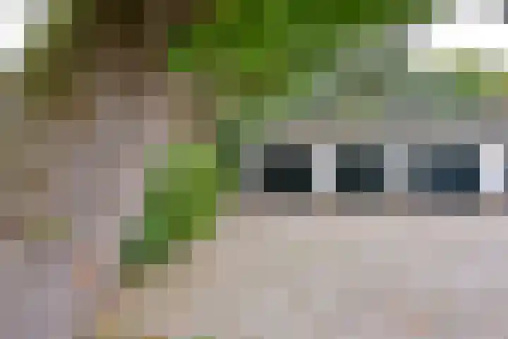 Rossinilaan 26 Hilversum thumbnail 22