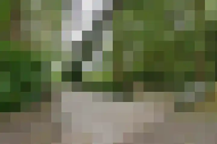 Rossinilaan 26 Hilversum thumbnail 23