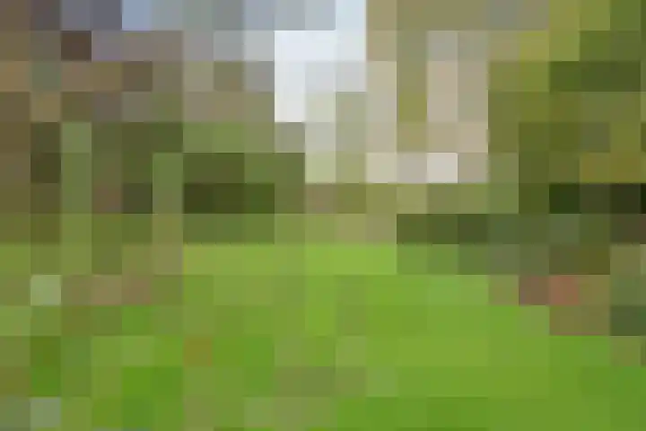 Rossinilaan 26 Hilversum thumbnail 24