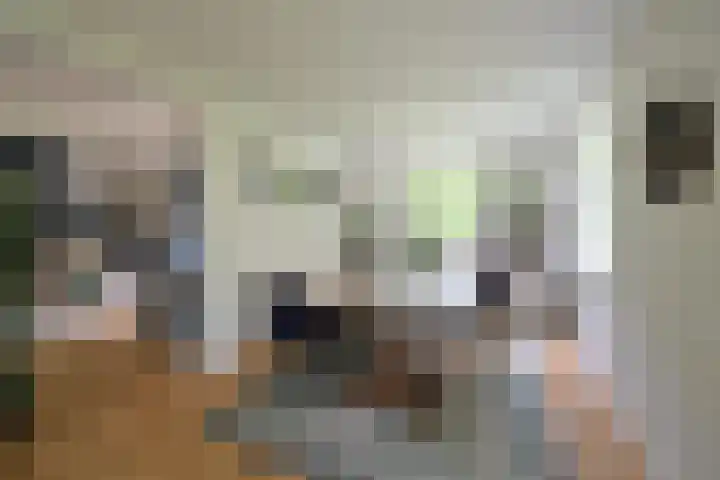Rossinilaan 26 Hilversum thumbnail 6