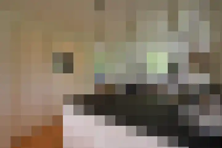 Rossinilaan 26 Hilversum thumbnail 8