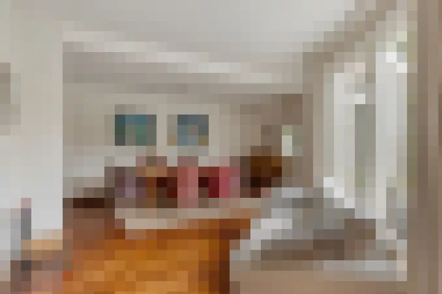 Rossinilaan 3 Rosmalen thumbnail 12