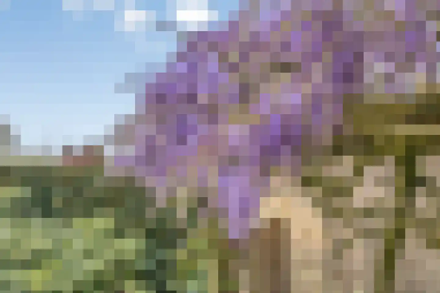Rossinilaan 3 Rosmalen thumbnail 55