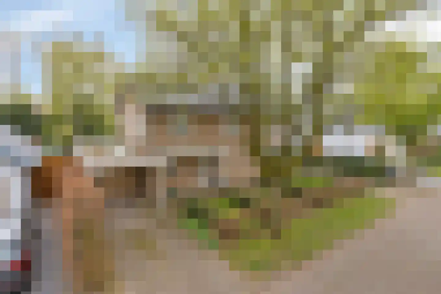 Rossinilaan 3 Rosmalen thumbnail 59