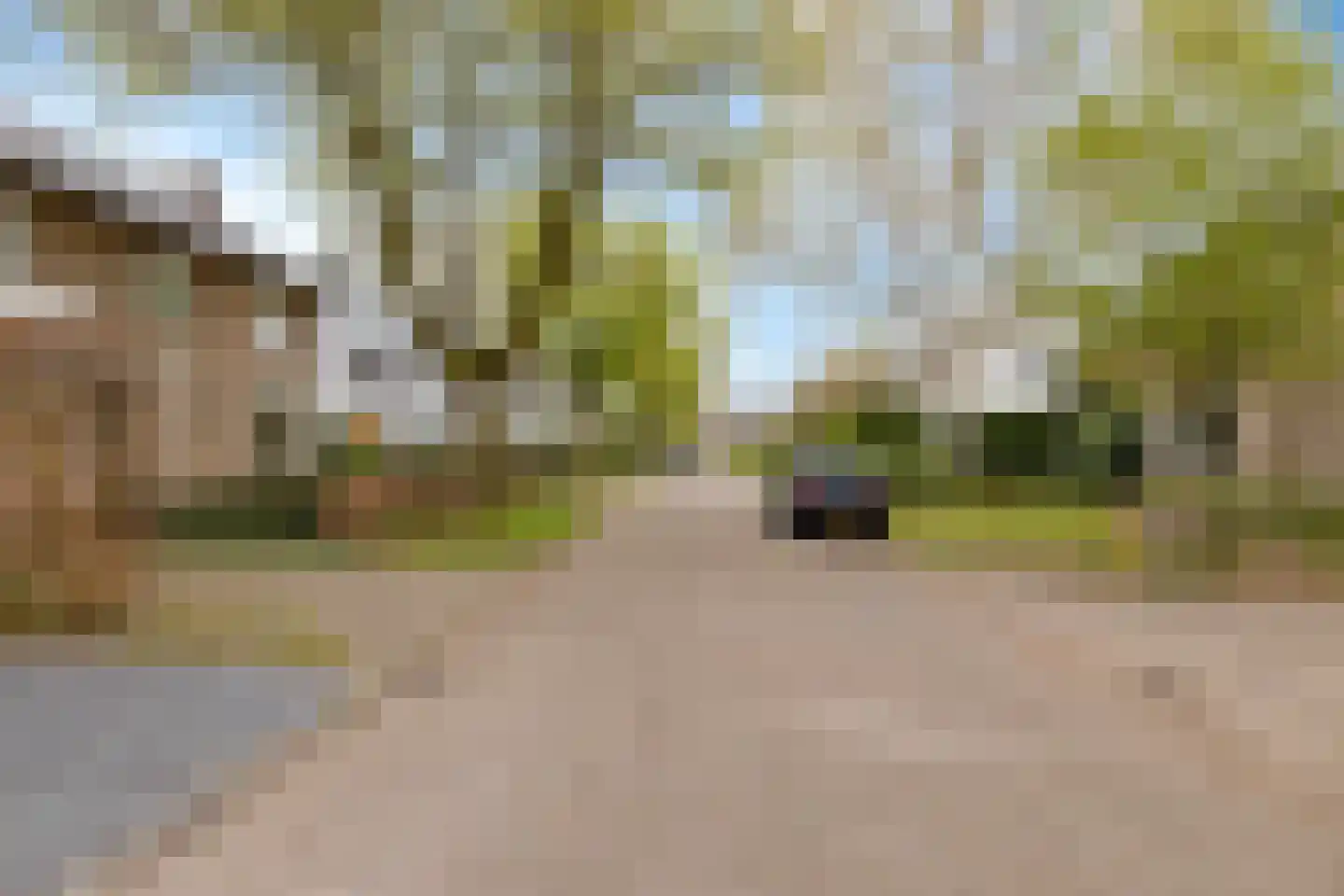Rossinilaan 3 Rosmalen thumbnail 63