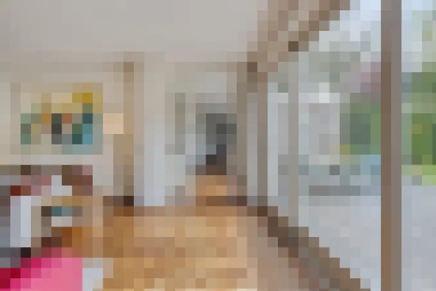 Rossinilaan 3 Rosmalen thumbnail 9