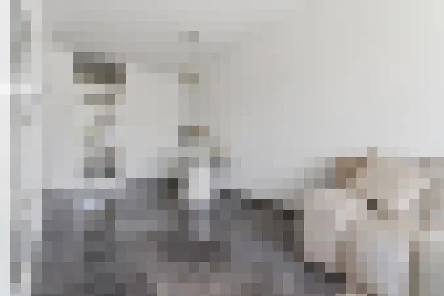 Rossinilaan 30 Den Haag thumbnail 10