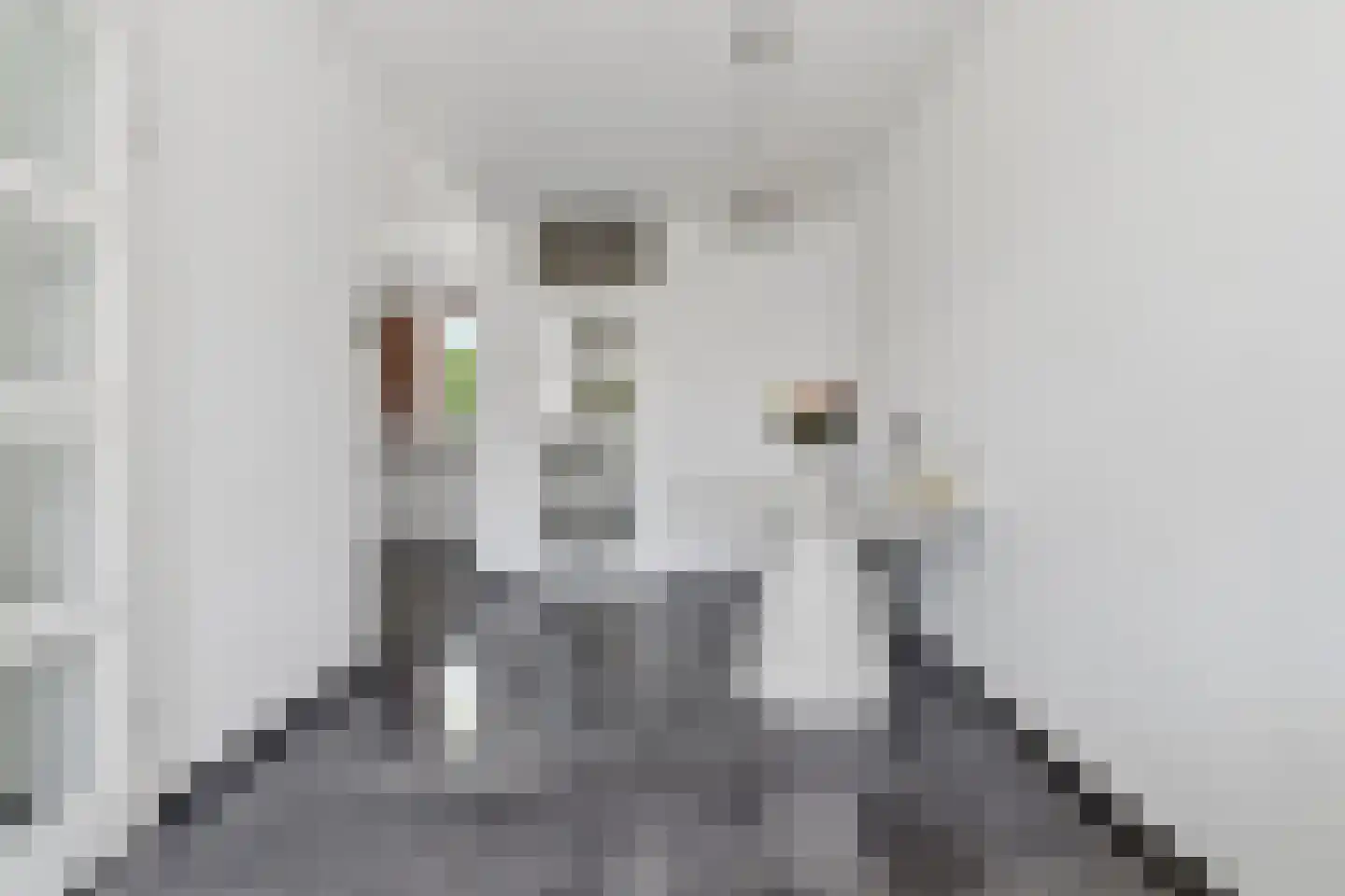 Rossinilaan 30 Den Haag thumbnail 11