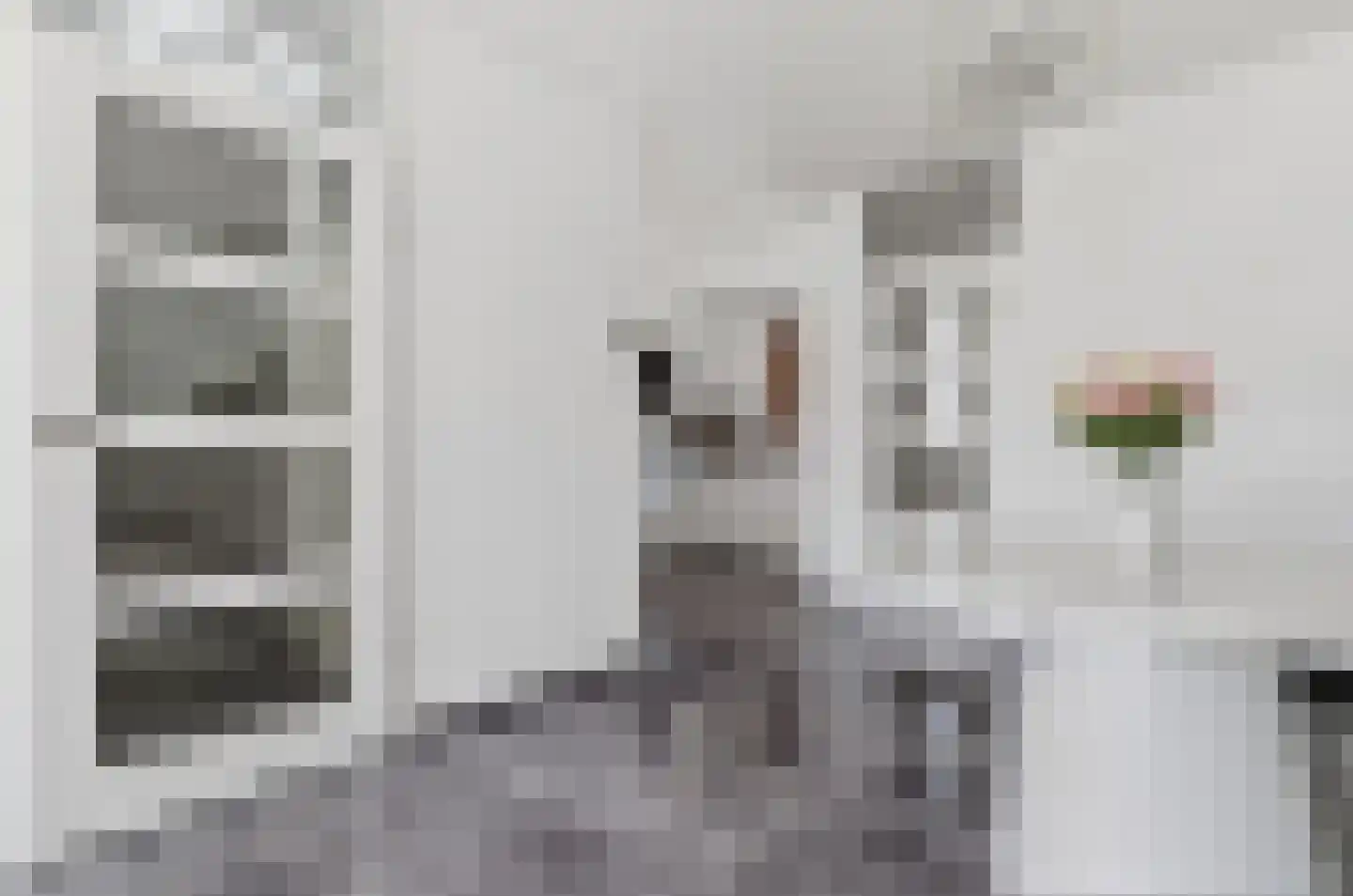 Rossinilaan 30 Den Haag thumbnail 12