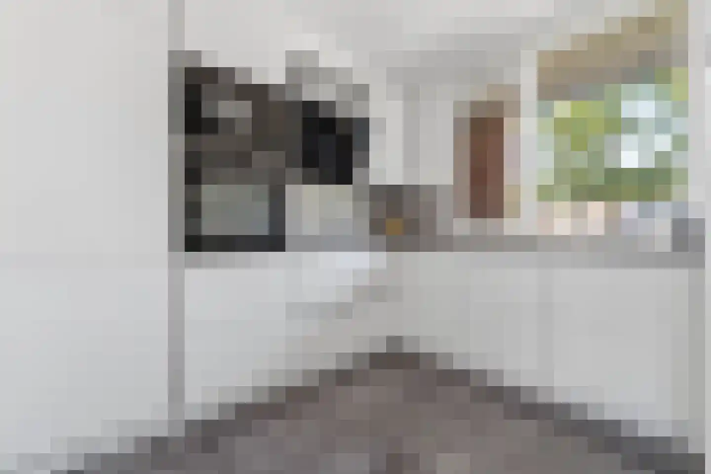 Rossinilaan 30 Den Haag thumbnail 13