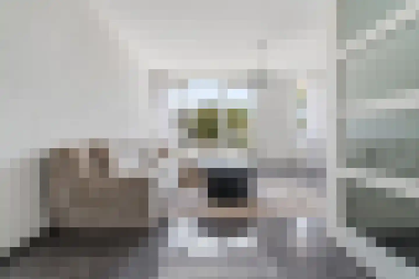 Rossinilaan 30 Den Haag thumbnail 5