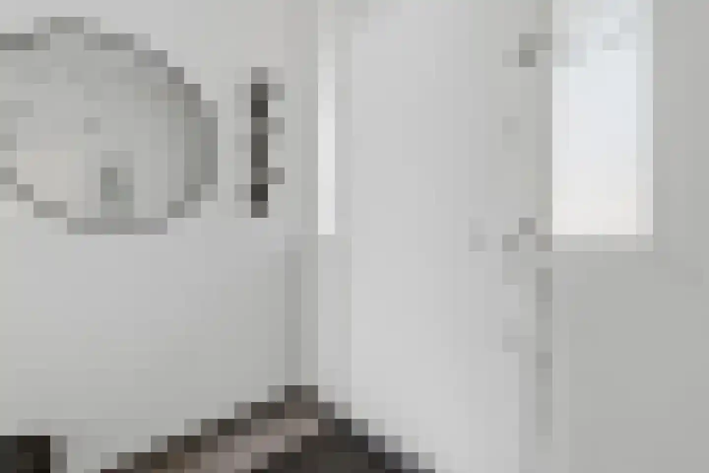 Rossinilaan 30 Den Haag thumbnail 54