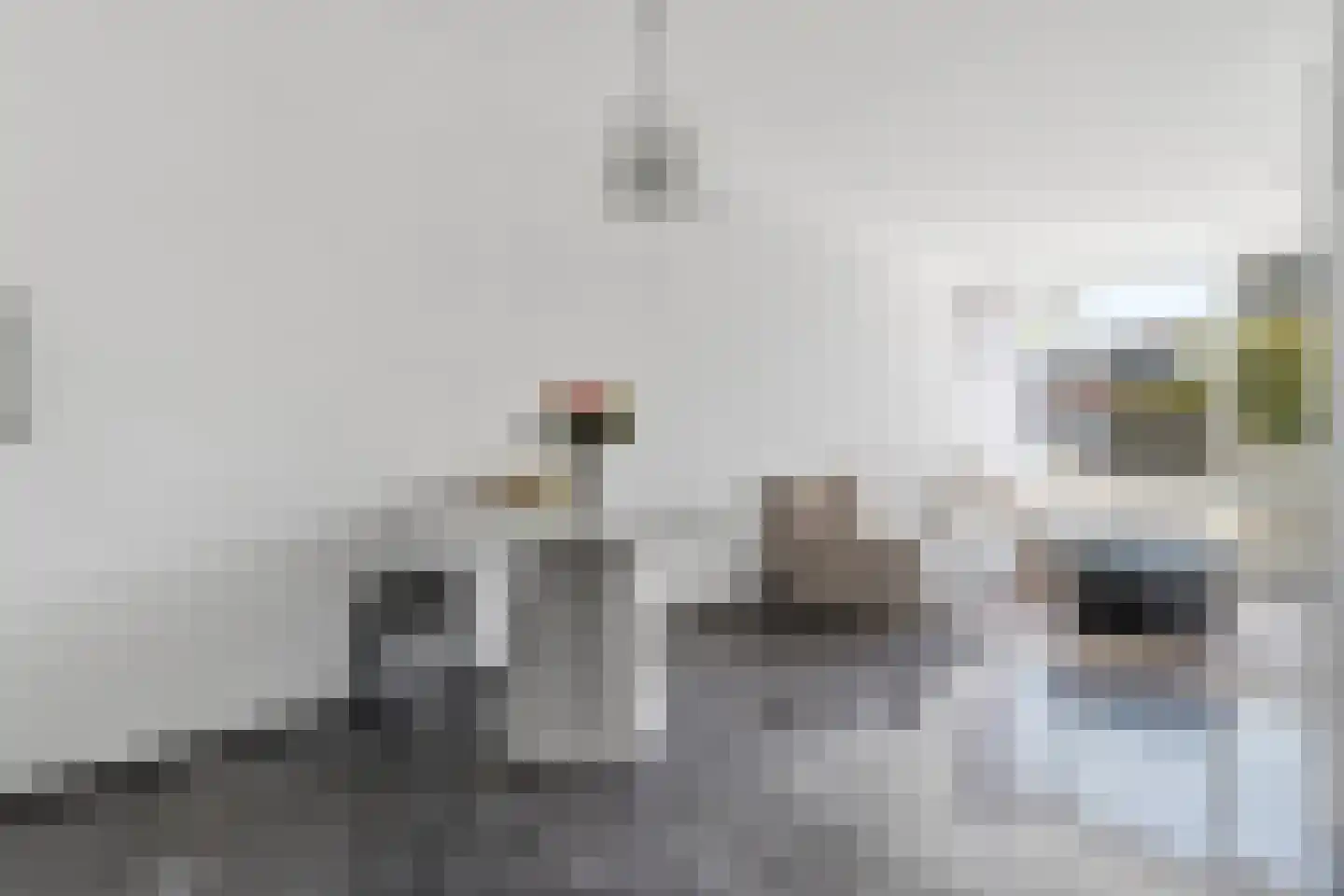Rossinilaan 30 Den Haag thumbnail 6
