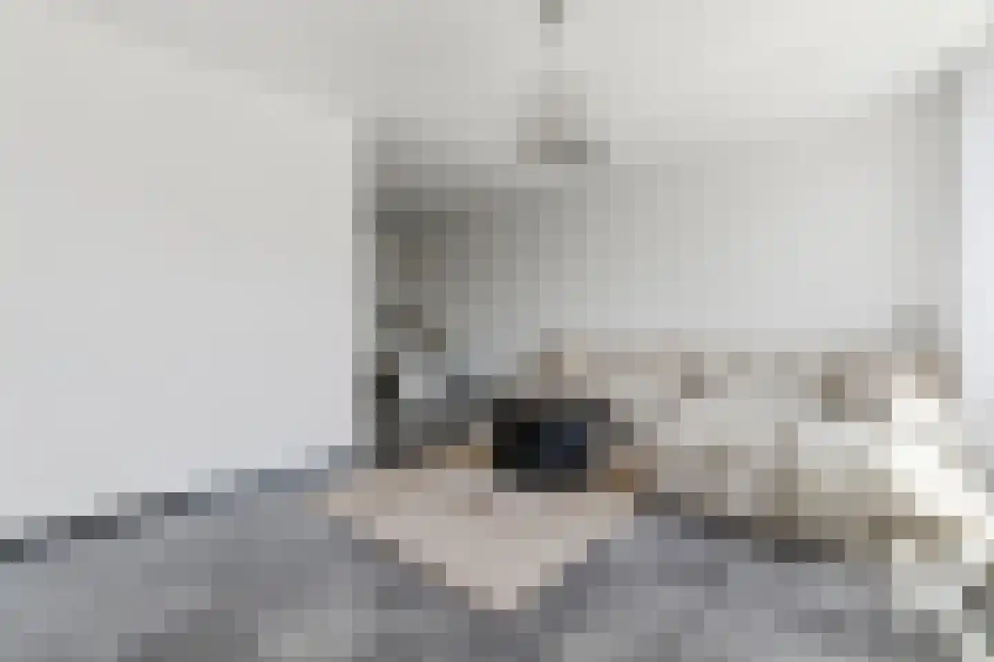 Rossinilaan 30 Den Haag thumbnail 7