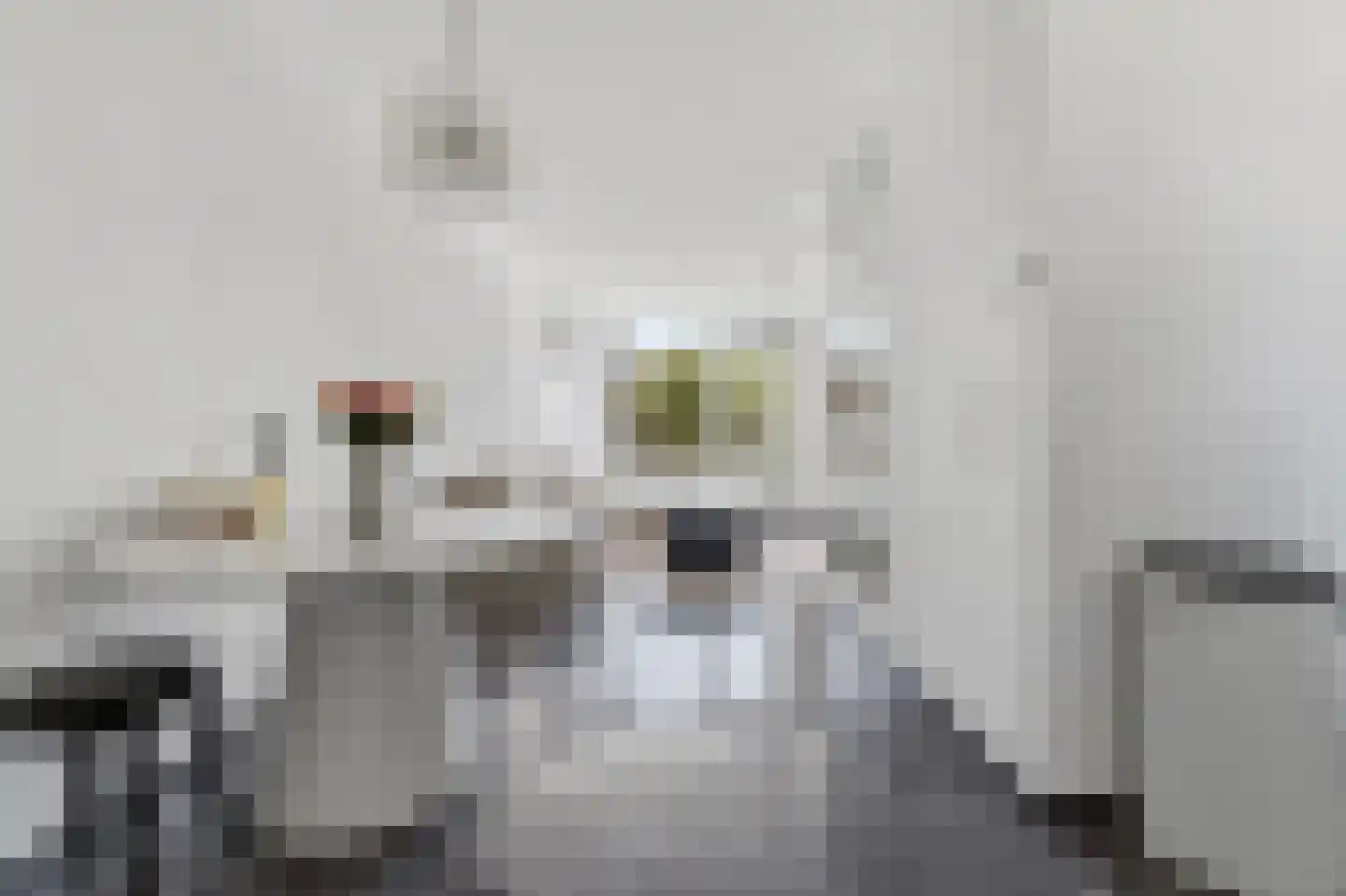 Rossinilaan 30 Den Haag thumbnail 9