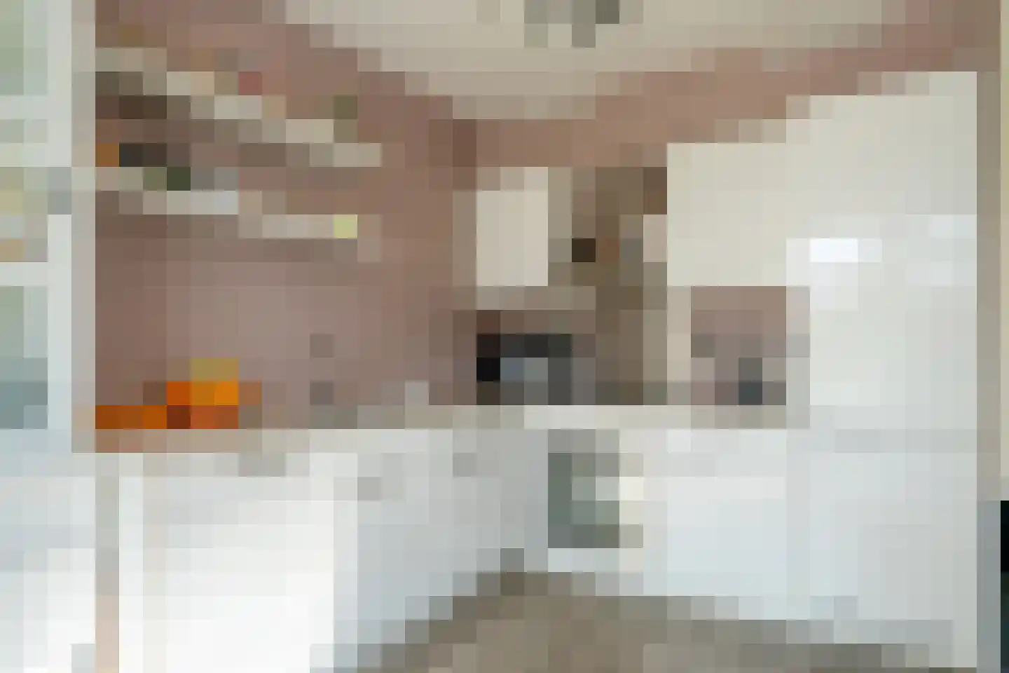 Rossinilaan 335 Den Haag thumbnail 15