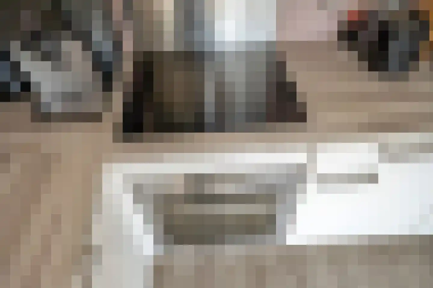 Rossinilaan 335 Den Haag thumbnail 16