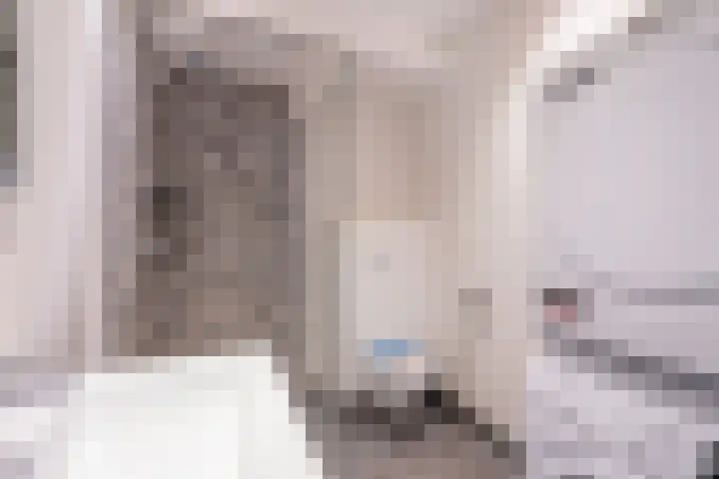 Rossinilaan 335 Den Haag thumbnail 19