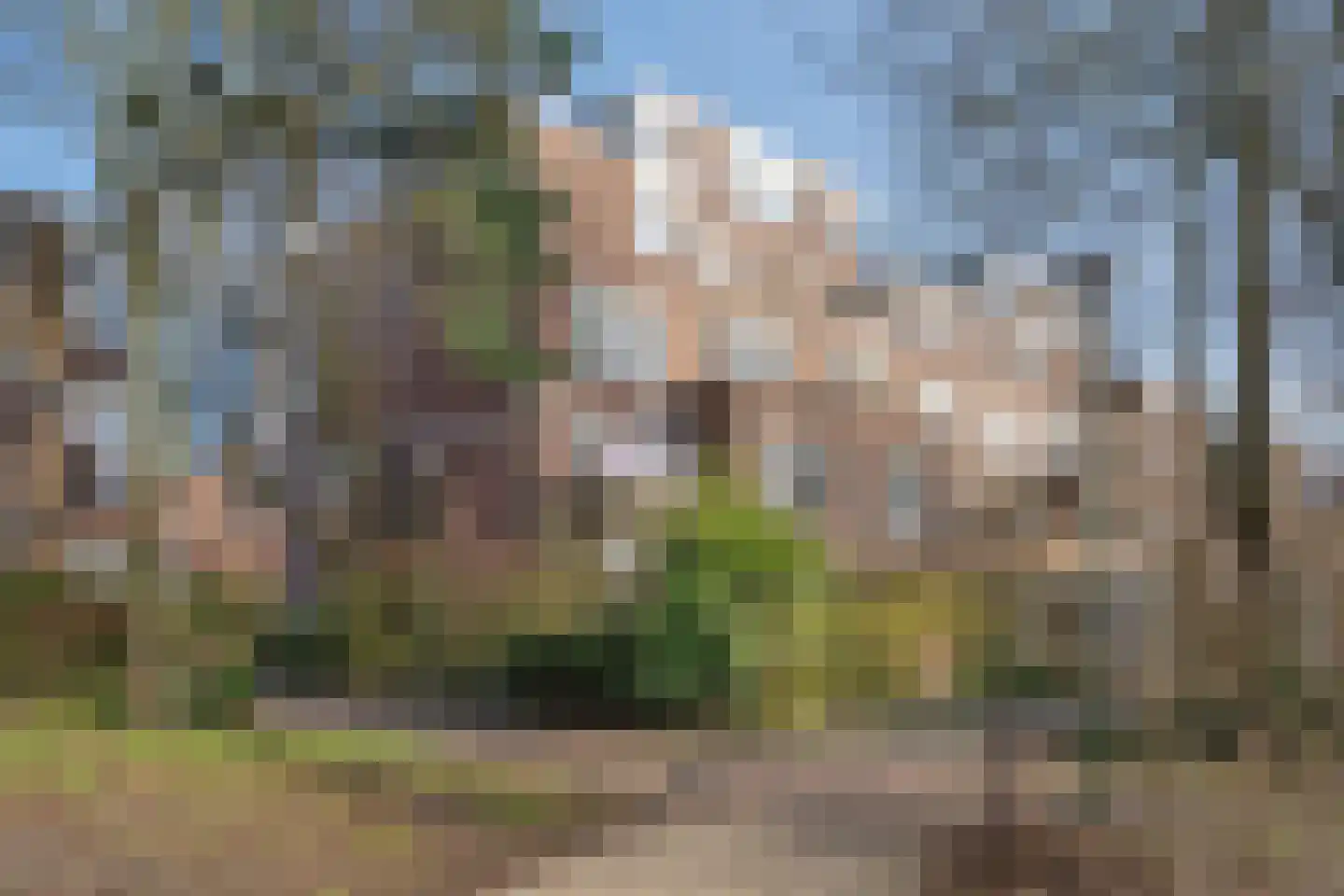 Rossinilaan 335 Den Haag thumbnail 22