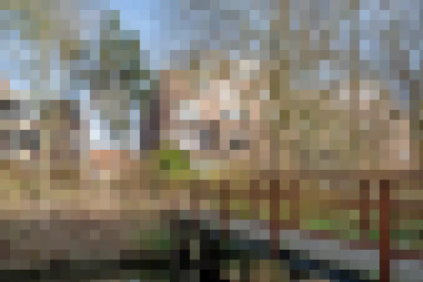 Rossinilaan 335 Den Haag thumbnail 23