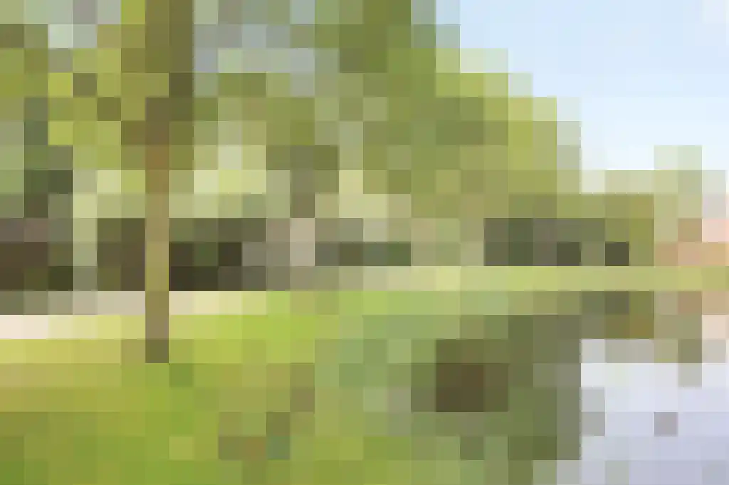 Rossinilaan 335 Den Haag thumbnail 25