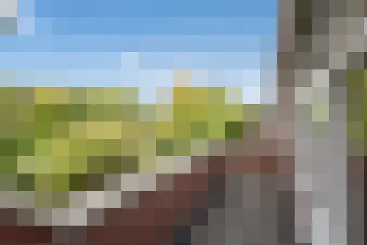 Rossinilaan 379 Den Haag thumbnail 14