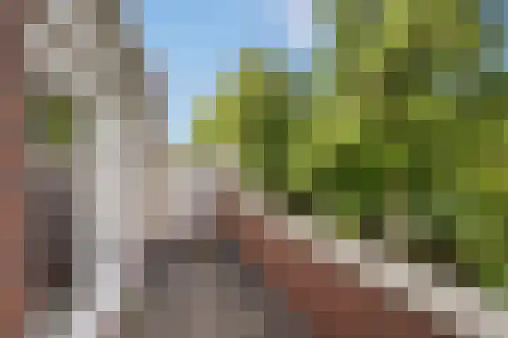 Rossinilaan 379 Den Haag thumbnail 15