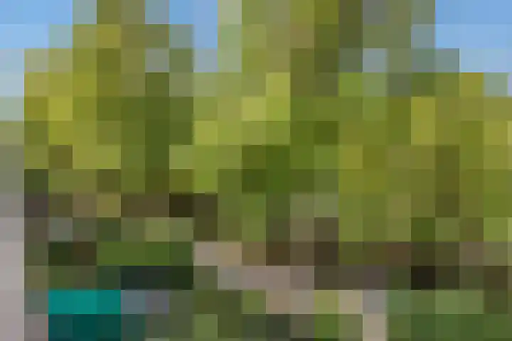 Rossinilaan 379 Den Haag thumbnail 16