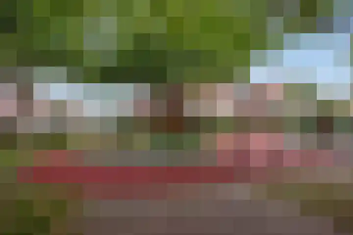 Rossinilaan 379 Den Haag thumbnail 19