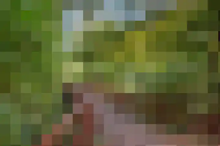 Rossinilaan 379 Den Haag thumbnail 20