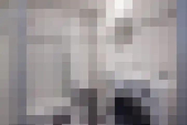 Rossinilaan 379 Den Haag thumbnail 9