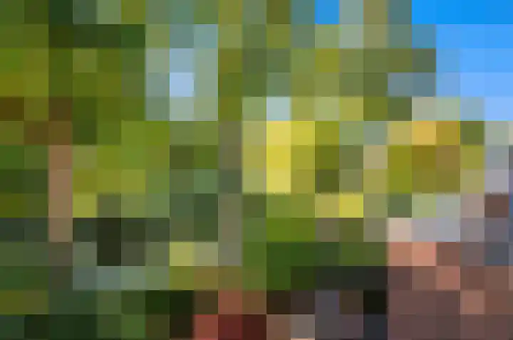 Rossinilaan 393 Den Haag thumbnail 13