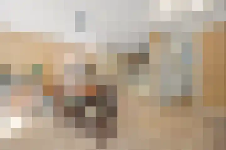 Rossinilaan 393 Den Haag thumbnail 14
