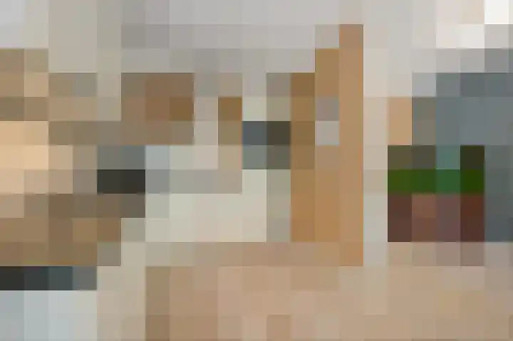 Rossinilaan 393 Den Haag thumbnail 16