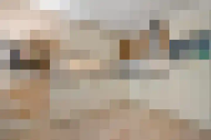 Rossinilaan 393 Den Haag thumbnail 17