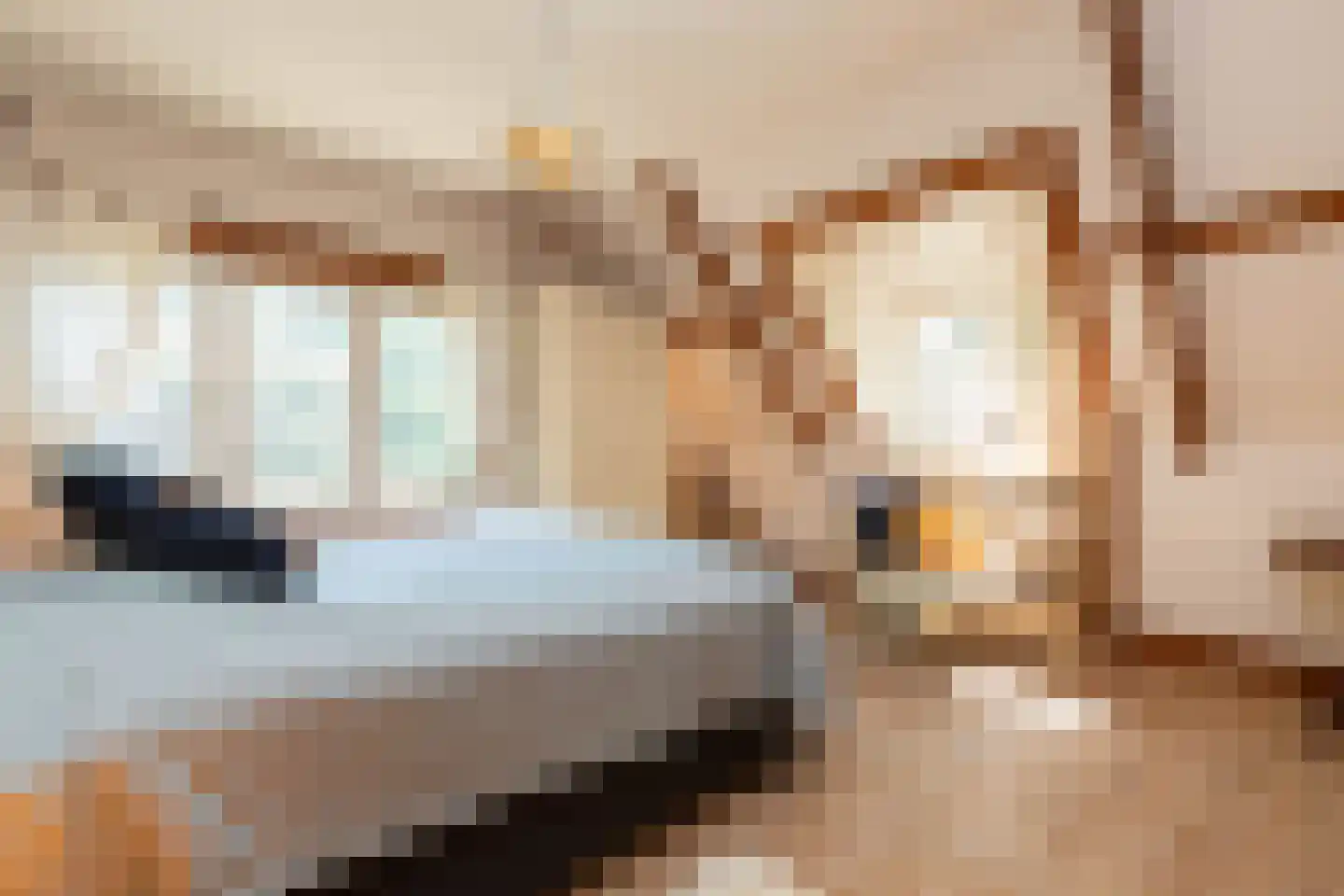 Rossinilaan 4 Hilversum thumbnail 20