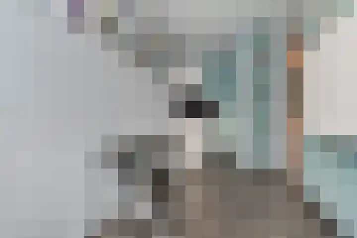 Rossinilaan 407 Den Haag thumbnail 10