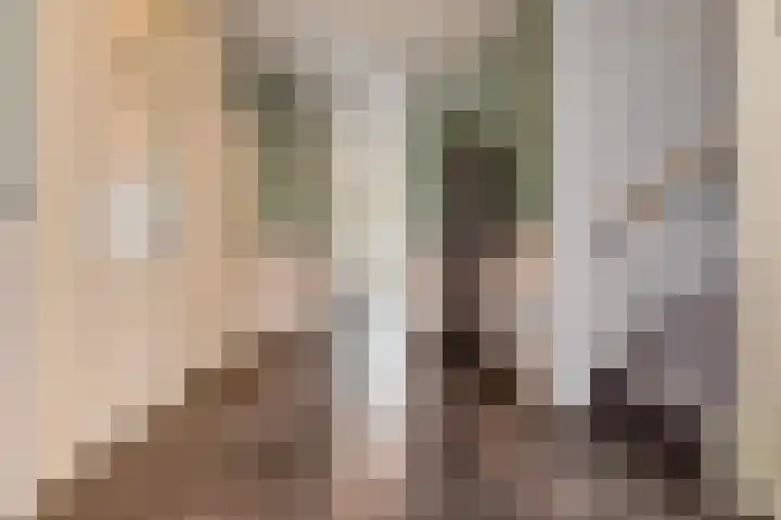 Rossinilaan 407 Den Haag thumbnail 11